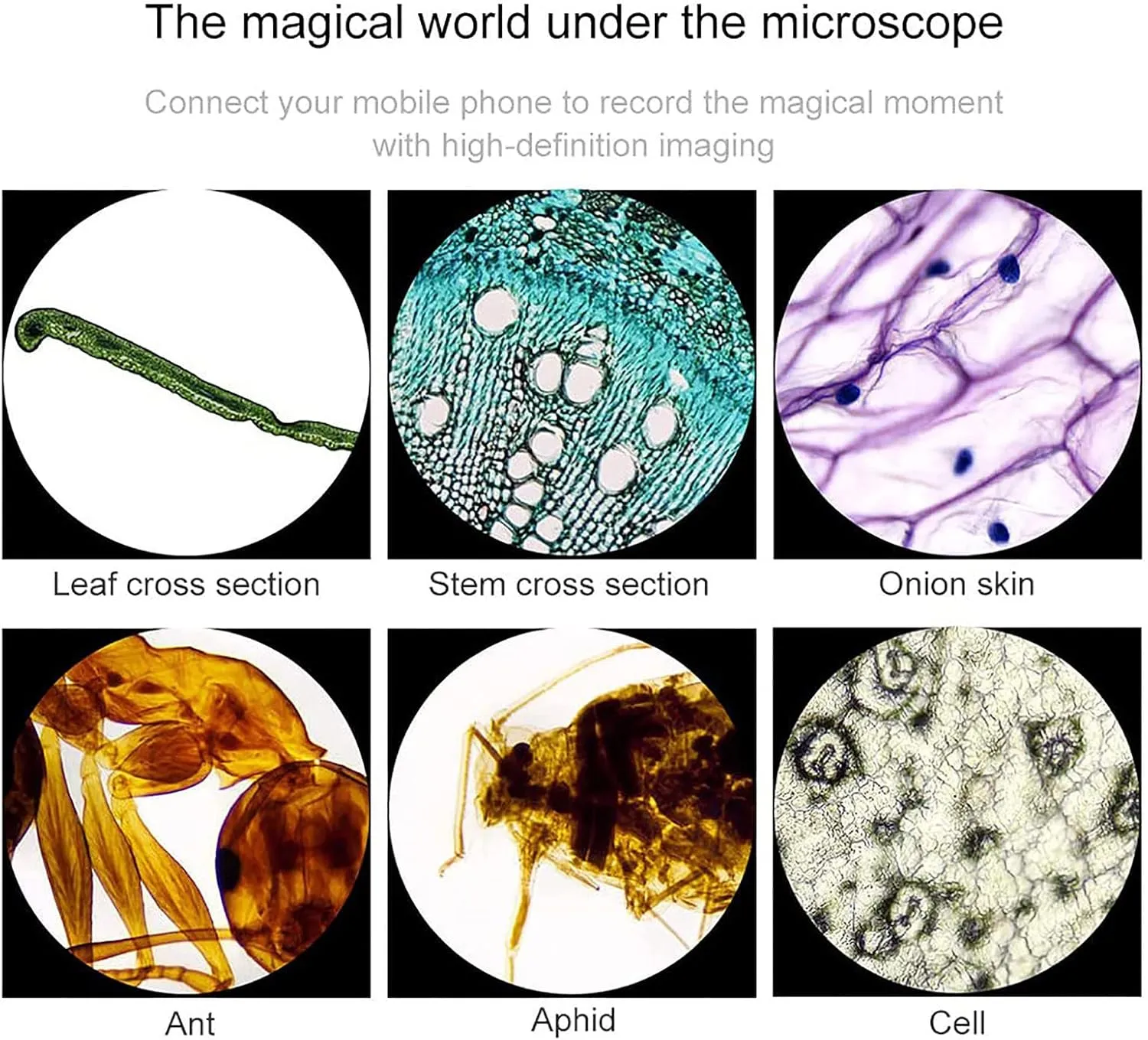 Binocular Microscope for Adults,Lab Compound Binocular Microscope,with Dual LED Illumination Storage Bag Microscope Slides Phone Adapter,for Students Teaching&Beginners Hobbyist,6000X