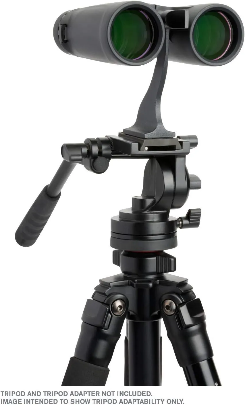 Celestron 71346 8 x 42 Outland X Binocular, Black