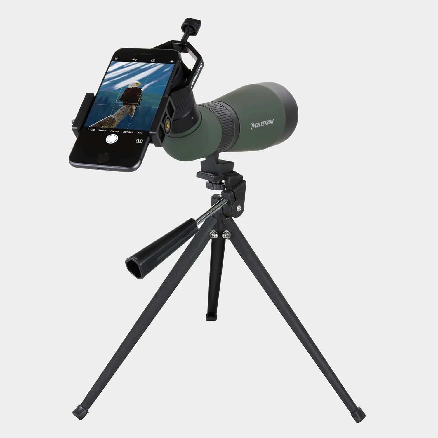 Celestron – LandScout 60mm Angled Spotting Scope – Fully Coated Optics – 12–36x Zoom Eyepiece – Rubber Armored – Tabletop Tripod and Smartphone Adapter