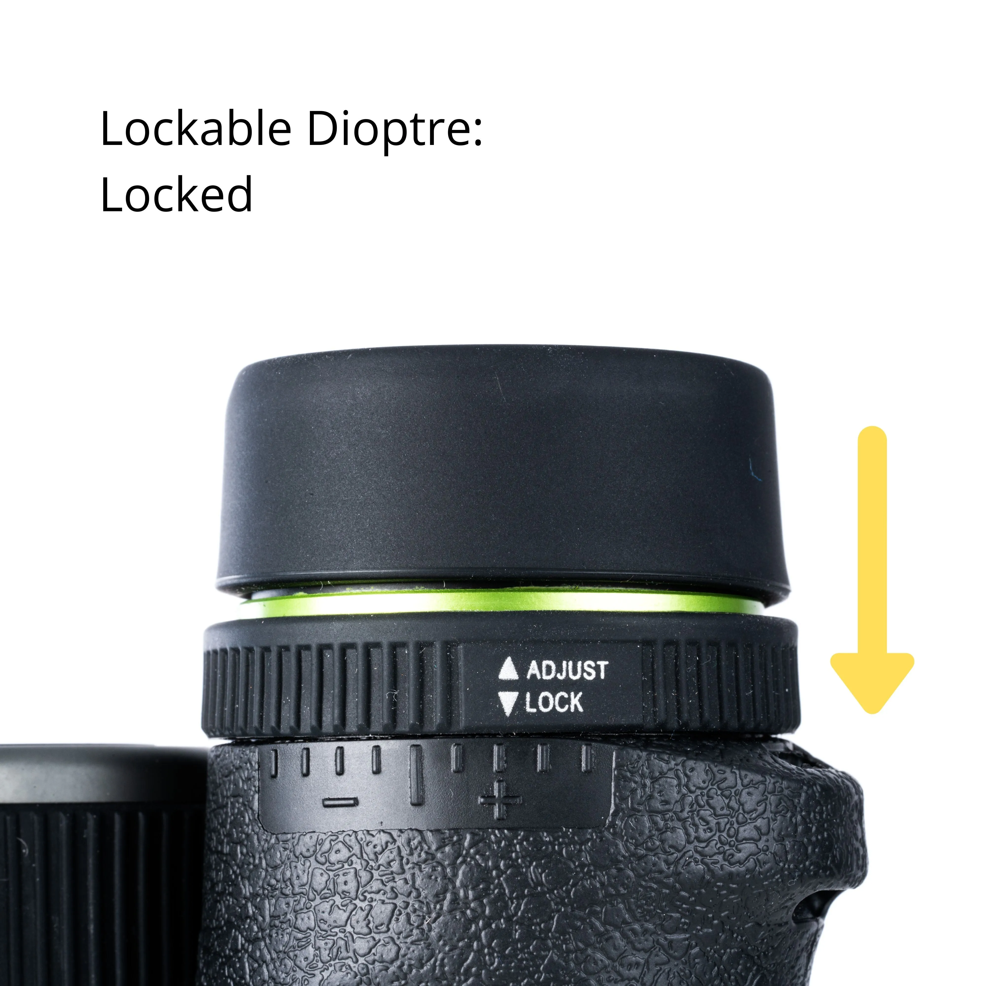 ENDEAVOR ED 8x42 Binocular