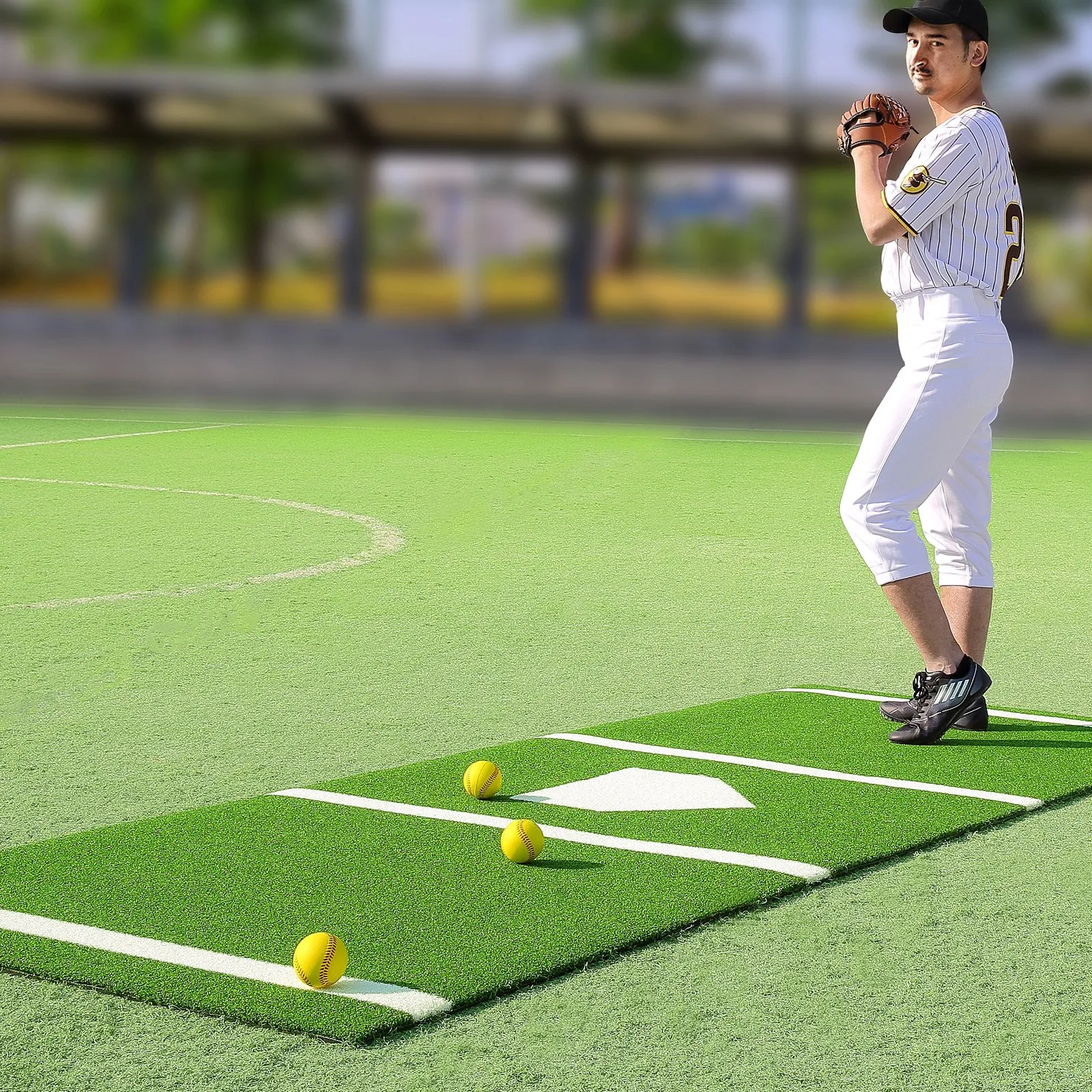 (FINAL PRICES ARE LOWER ON OUR SITE!) VEVOR Baseball Softball Hitting Batting Mat, 10' x 3.8' Indoor/Outdoor Softball Mat, Lined & Foam Backing Anti-Slip Anti-Fade Softball Training Aid, Portable Practice Mat with Tightening Rope, Green