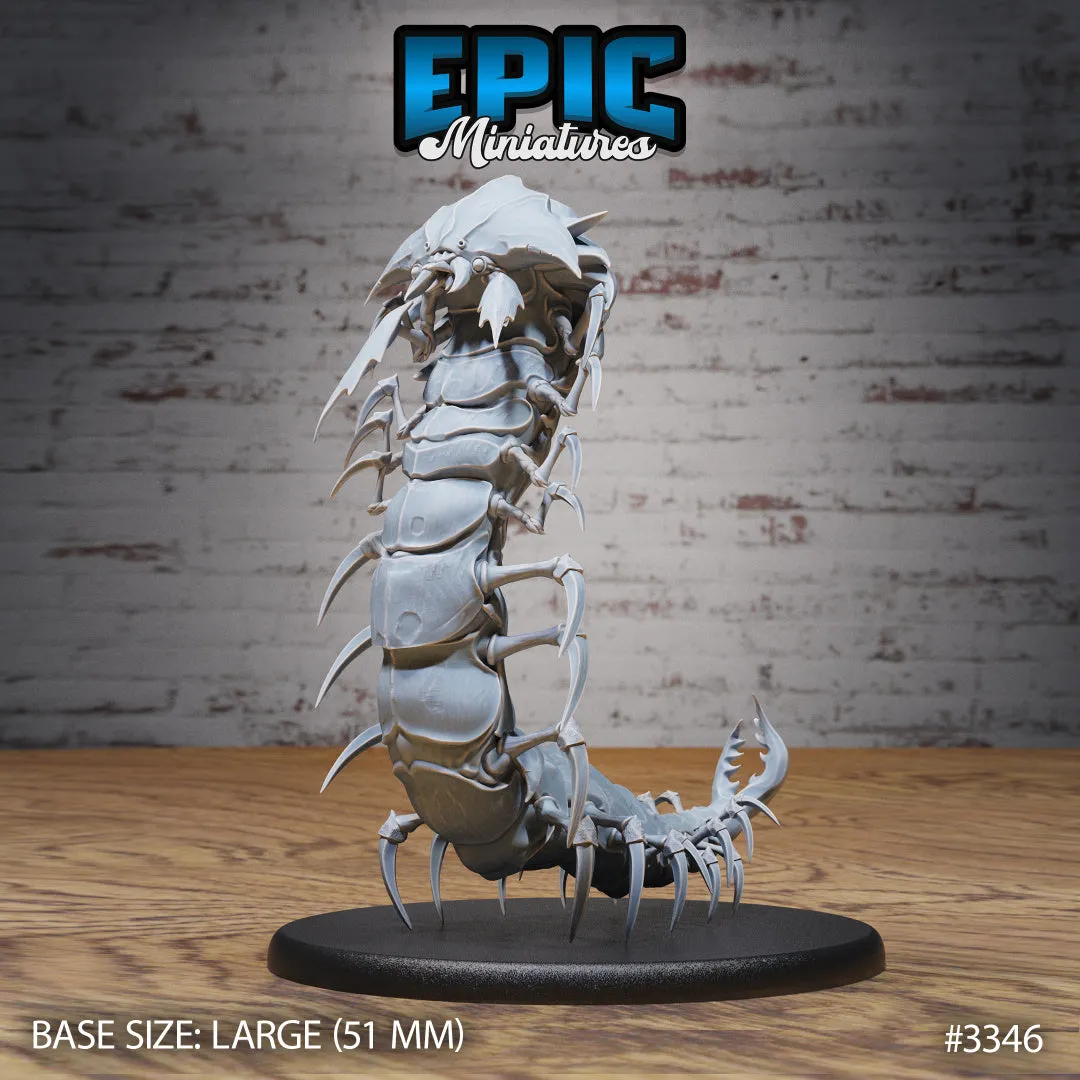 Hell Crawler Centipede