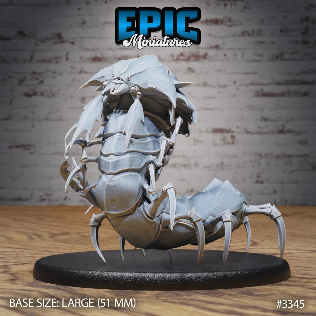 Hell Crawler Centipede