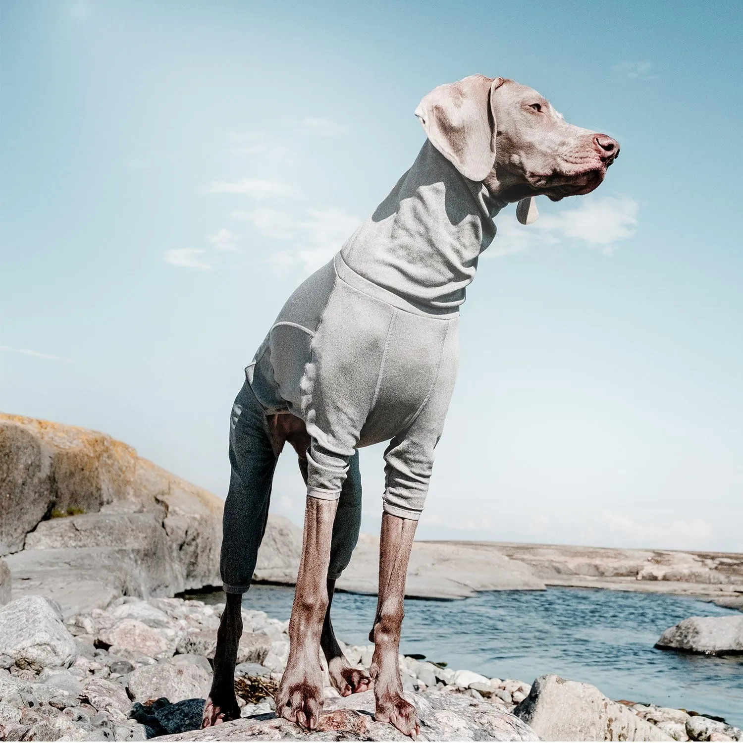 Hurtta Body Warmer Dog Body Suit, Recovery Suit, Carbon Grey, 18M