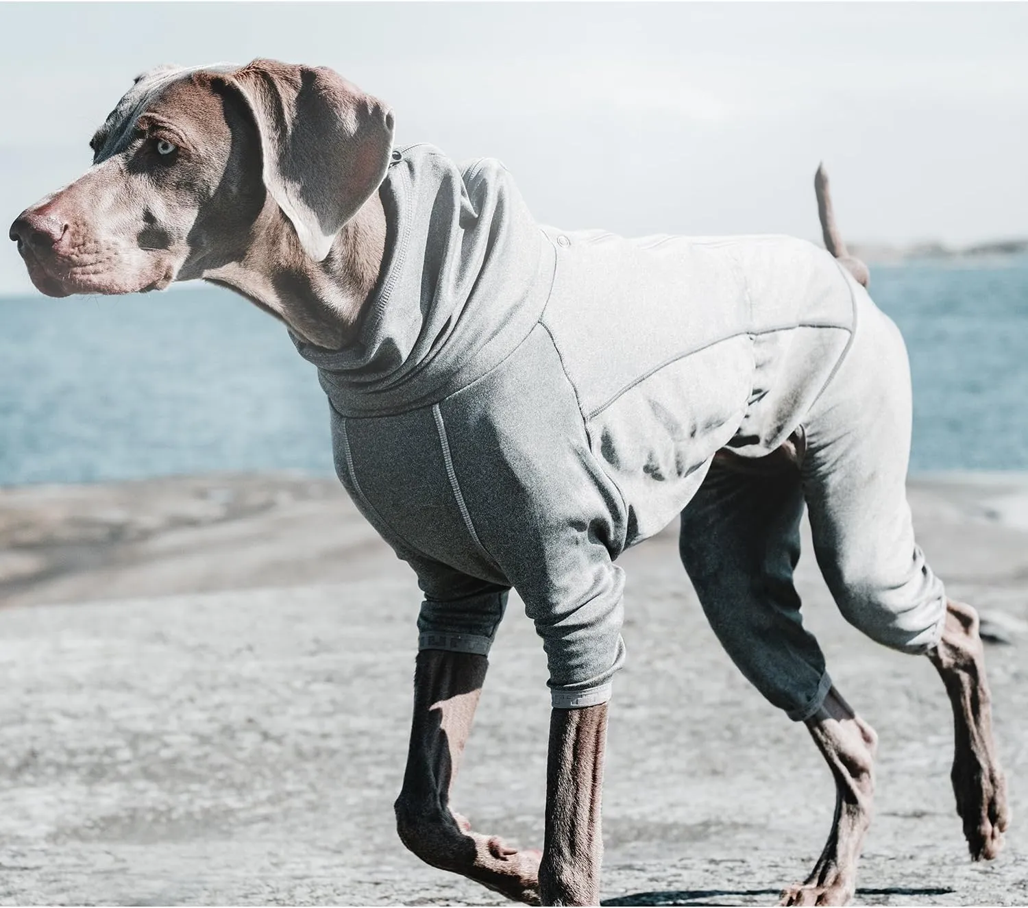 Hurtta Body Warmer Dog Body Suit, Recovery Suit, Carbon Grey, 18M