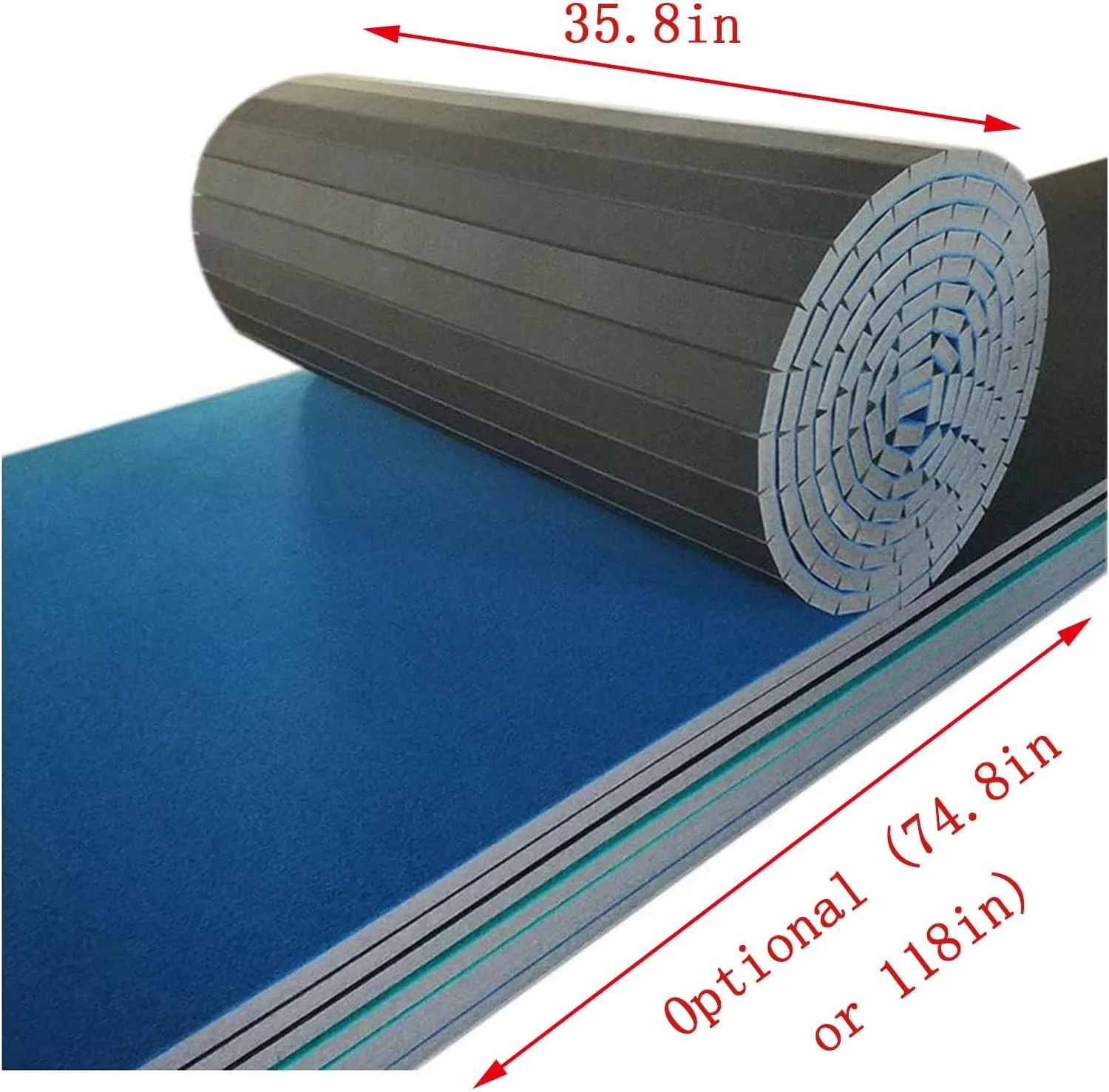 Premium Indoor Gymnastics Exercise Mat - Grippy Carpet Top Foam Wrestling Mat, Cheerleading, and Fitness - Easy Roll Out Design for Quick Setup