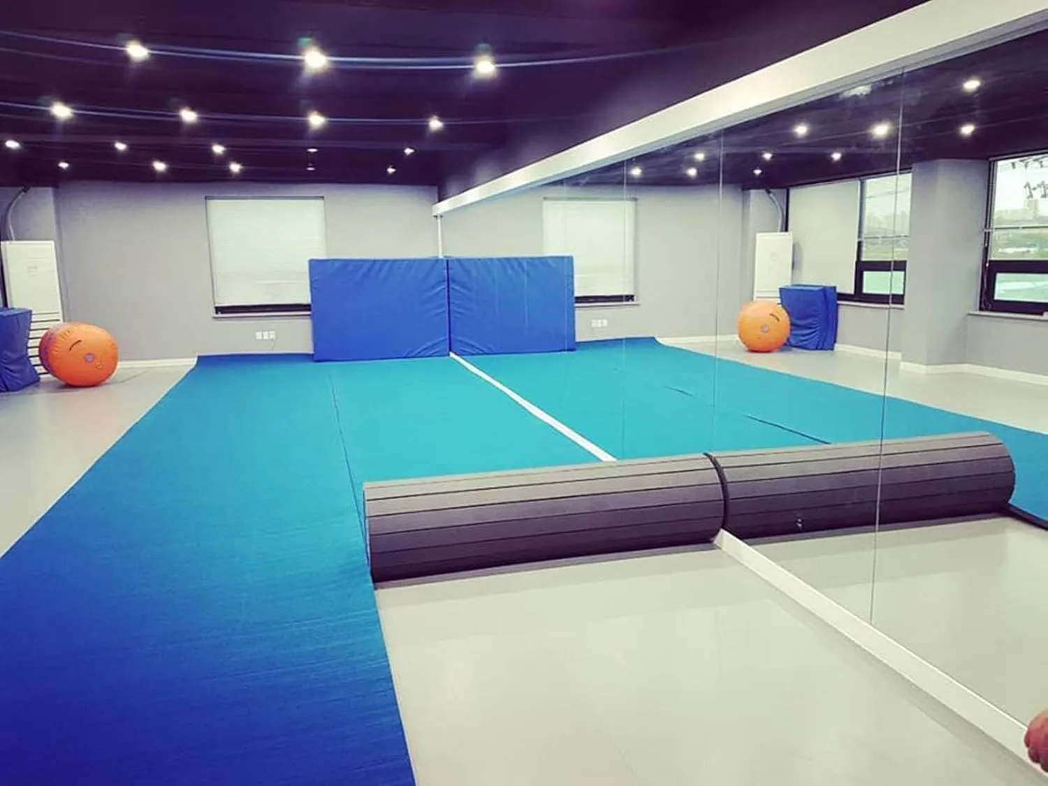 Premium Indoor Gymnastics Mat - Sturdy Foam Exercise Mat with Grippy Carpet Top for MMA, Cheerleading, and Fitness - Easy Roll-Out Design for Quick Setup