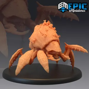 Spore Beetle
